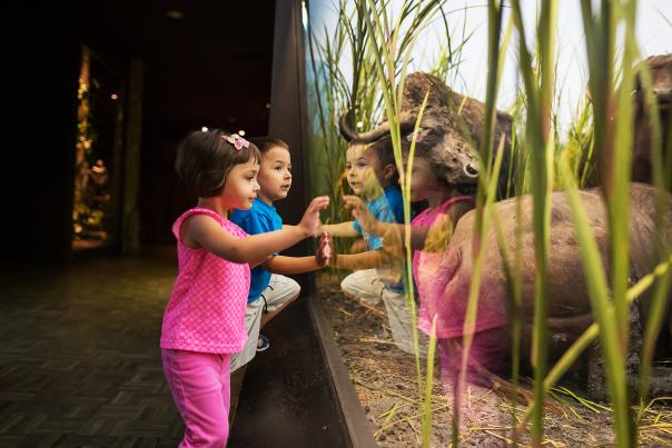 kids lean against exhibit glass