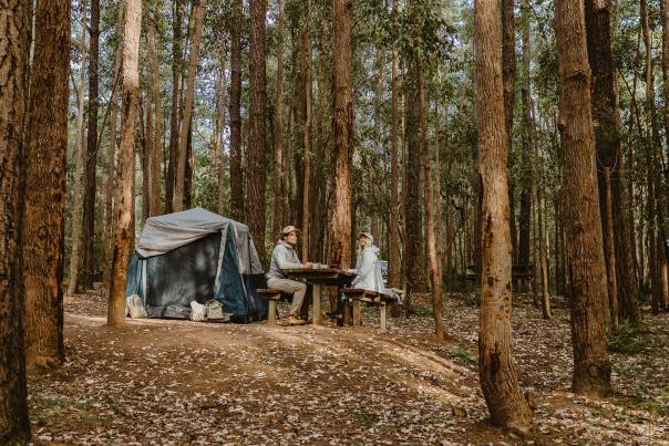 Dwellingup Camping