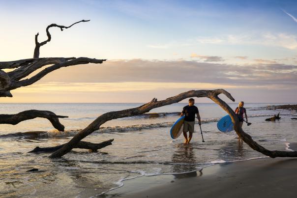 Paddleboarding along Driftwood Beach on Jekyll Island is especially popular during sunrise