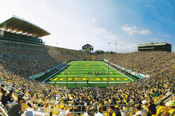 Autzen Stadium Duck Football by Curtis Reed