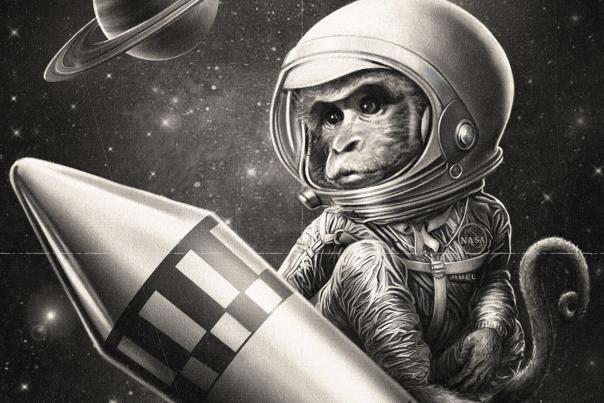 black and white illustration of a monkey, wearing a space suit, rides on a rocket