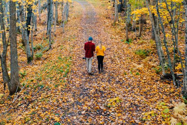 A couple walking on a trail covered in golden fall leaves in Marquette, MI