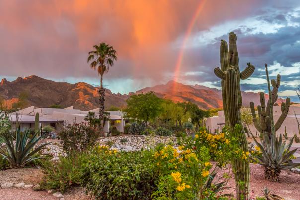 A rainbow over the Westward Look Wyndham Grand Resort & Spa