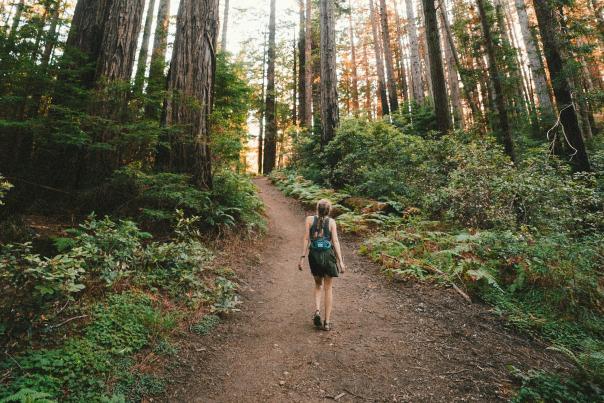 Woman walking near plants and tall trees during daytime