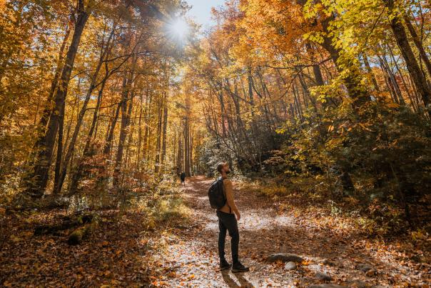 hiking in fall great smoky mountains