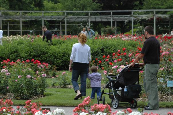The Columbus Park of Roses in Clintonville