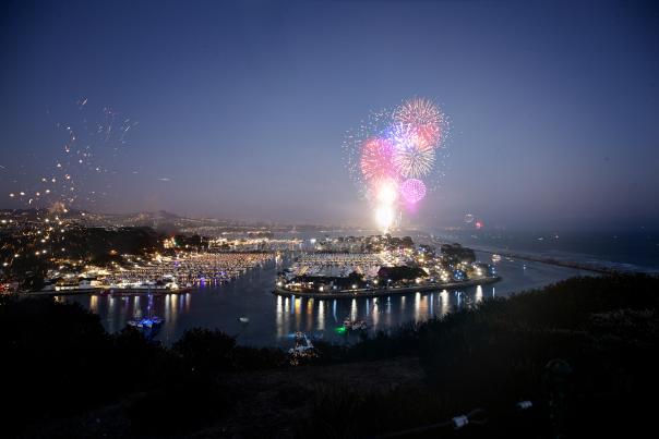 Fireworks over the harbor