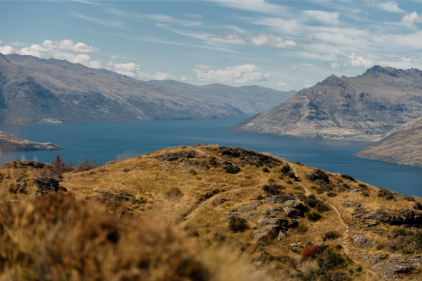Far away view on the top of a golden tussock covered mountain with lake and big mountains in the background