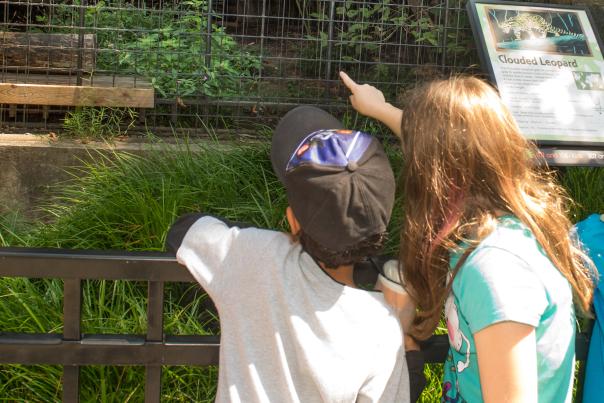 Brandywine Zoo, Wilmington, Delaware