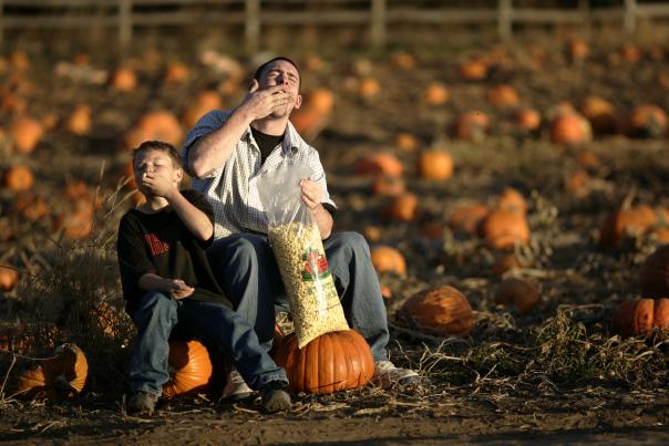 A man and young kid eating kettle corn at a pumpkin patch