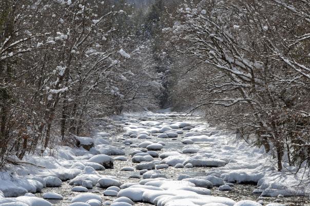 Stony Creek, Winter
