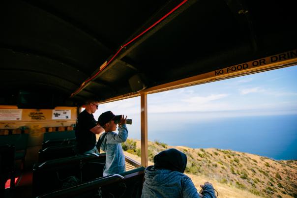 Top 10 Catalina Island Adventures