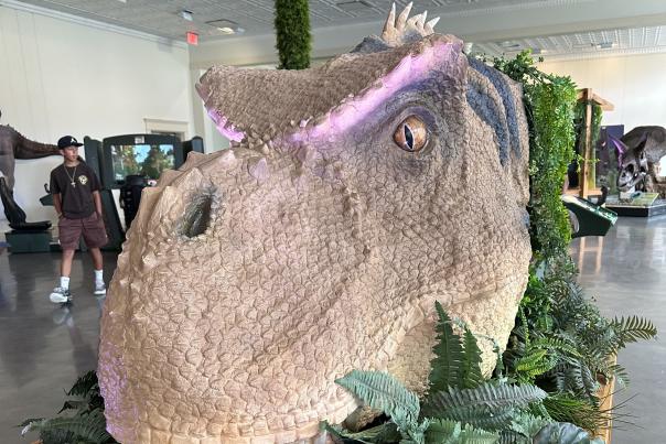Dinosaur head in Be The Dinosaur exhibit in Grapevine, Texas