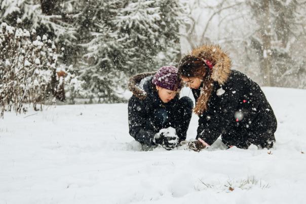 Murdock Park Winter