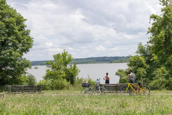 Two Bicyclists Viewing the Potomac River on the Mount Vernon Trail.