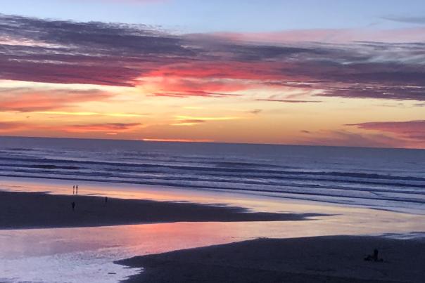 Driftwood Shores Sunset by Diana Wells