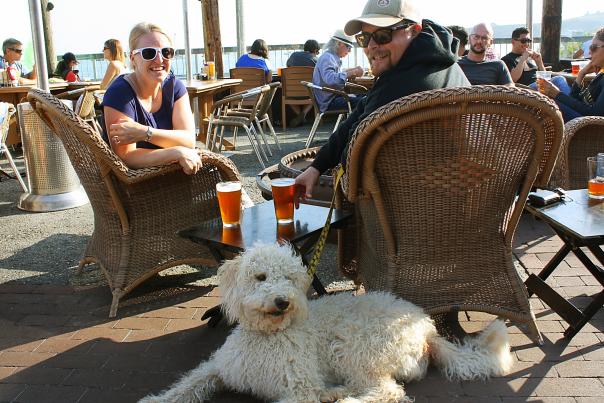 Dog at HMB Brewing Co.