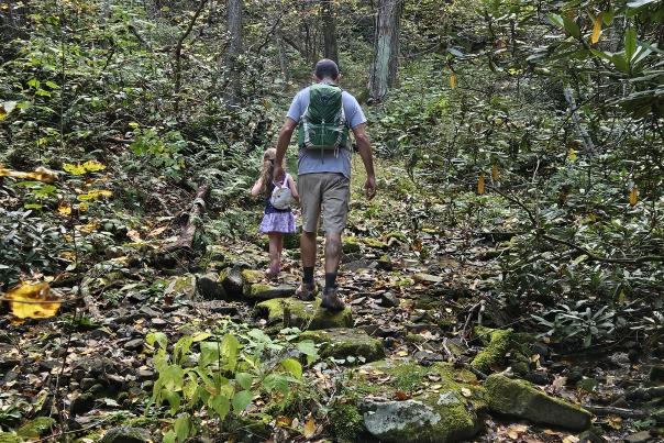 Garlic Trail