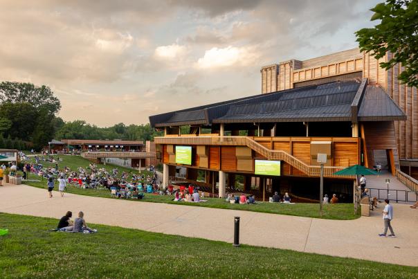 Feline Center at Sunset