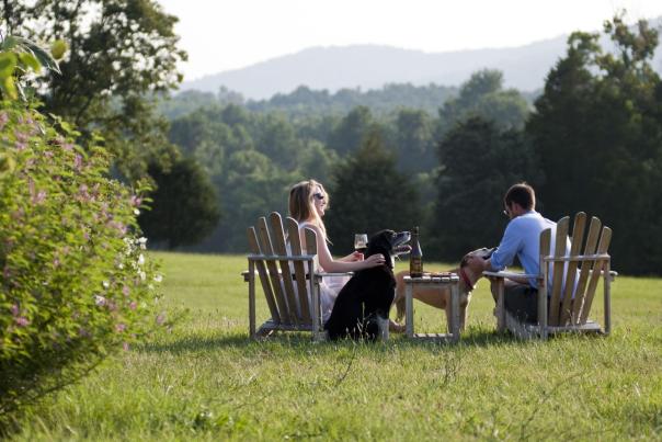 Jefferson Vineyards
