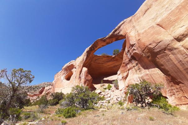 View of an Arch in Rattlesnake Arches Canyon