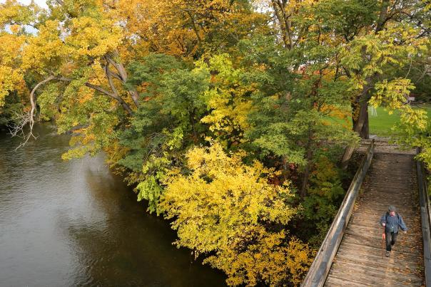 Fall stroll from frog island to riverside