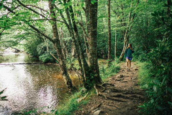 Someone with sandals, shorts, and a green jacket walks on a dirt path under lush green trees, alongside a river.