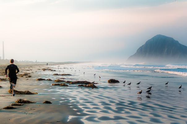 Oceanfront MB Running