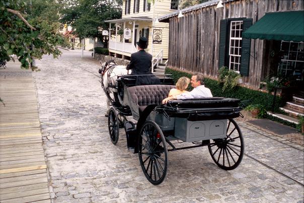 Couple in Horse Carriage