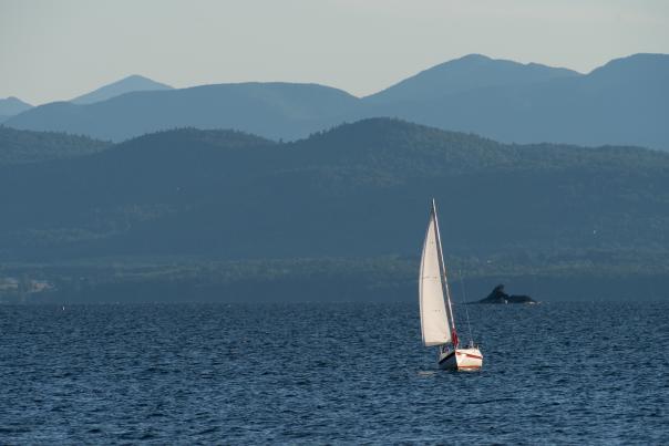 Sailboat