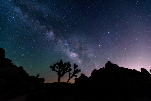 The Milky Way stretches across the night sky above Joshua trees and rock formations in Joshua Tree National Park near Twentynine Palms, California.