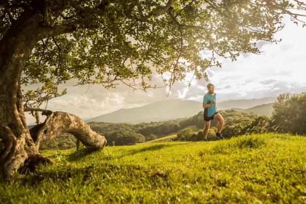 A man in a blue shirt and shorts runs across a meadow under a lush tree.