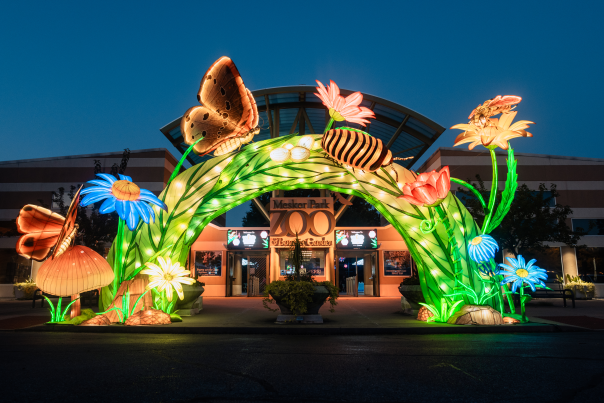 Wild Summer Lights at Mesker Park Zoo