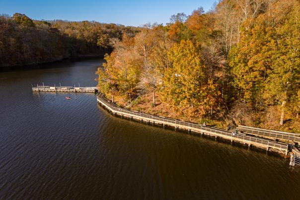 Fountainhead Regional Park - Fairfax Station - Fall - Boardwalk