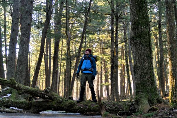 Hiker stands in forest of Sturgeon River Gorge Wilderness Area