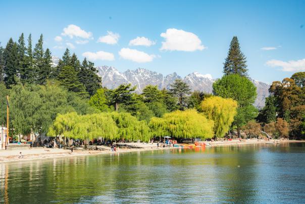 Wide shot of Queenstown bay with green willow trees lining the lake and snow capped mountains in the background