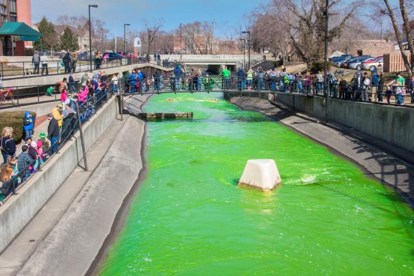 The greening of the East Race Waterway is an annual tradition in downtown South Bend
