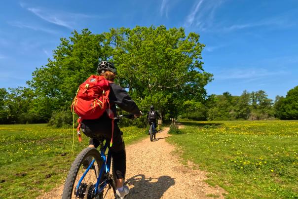 New Forest Cycling Tours blog - new