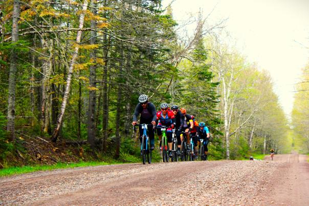 A line of cyclists riding towards the viewer on a gravel road.
