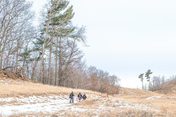 three people follow snow covered trail through beach grass covered dunes. bare deciduous trees and green pines line the horizon with lake michigan in background.