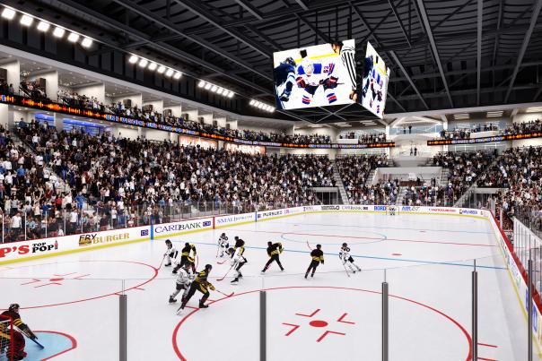 Akins Ford Arena, ice hockey rink