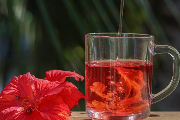 The refreshing Agua de Jamaica (Hibiscus Water) is served throughout Mexico.