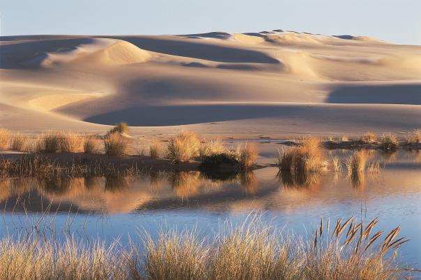Sand Dunes Near Florence by Eric Vaughan