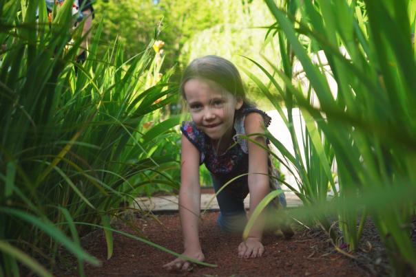 Crawling through State Botanical Garden