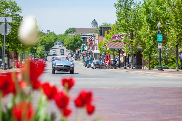 Classic car drives past tulips on Kirkwood in Bloomington