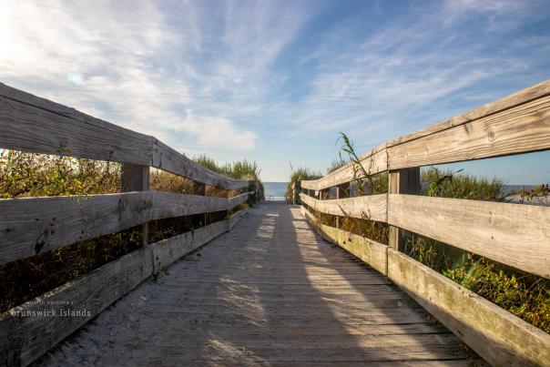 a wooden walkway to the beach photographed from a low angle