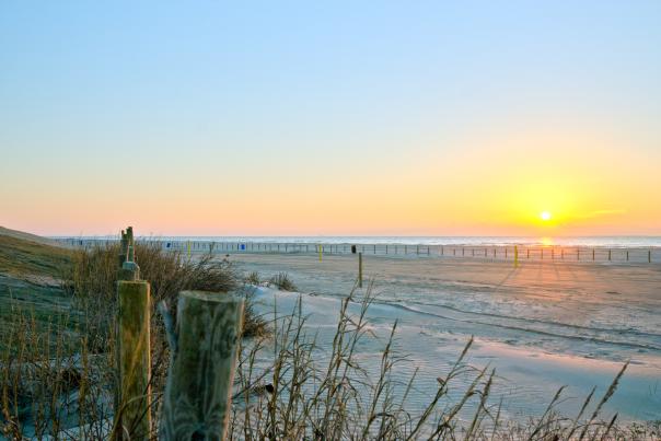 Beach Sunrise- Galveston
