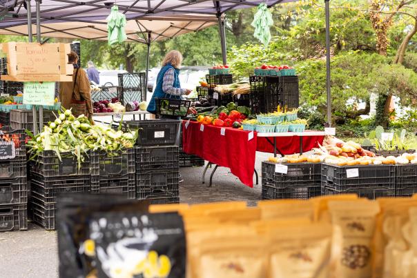 Farmers Market - Fall - Produce - April Greer