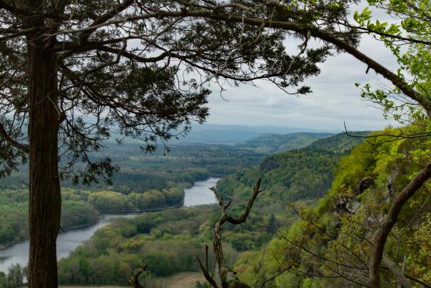 A scenic overlook of a river flowing through a forest
