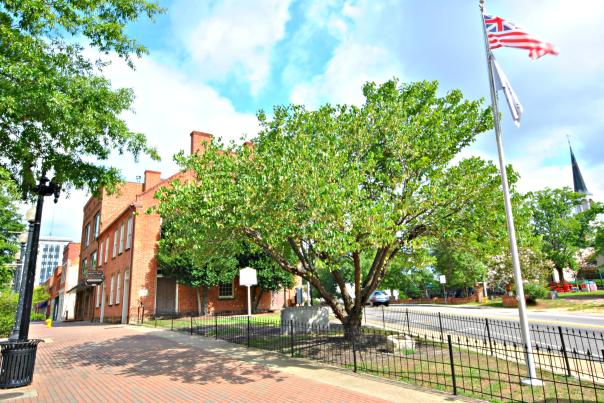 Liberty Point in downtown Fayetteville with historic brick buildings, trees, and a flagpole along the sidewalk.